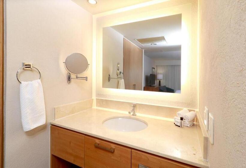Studio Standard, Staybridge Suites Guadalajara Expo, An Ihg