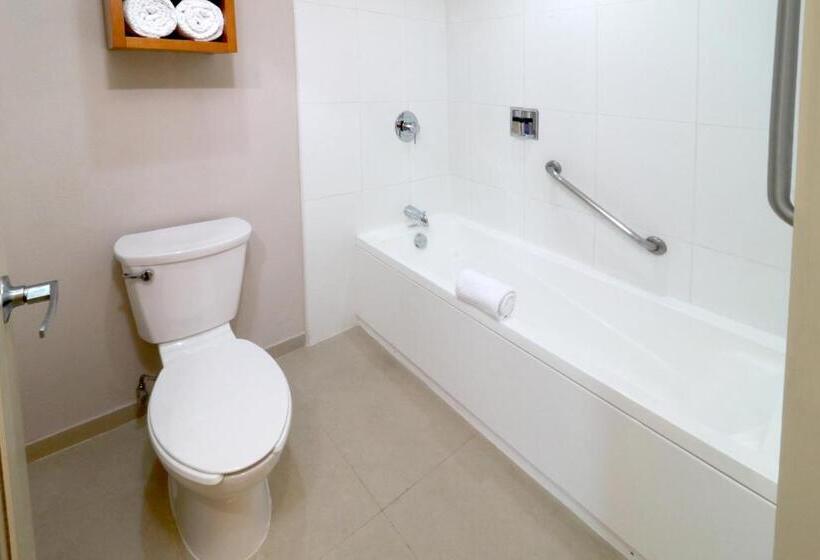 Suite Lit King, Staybridge Suites Guadalajara Expo, An Ihg