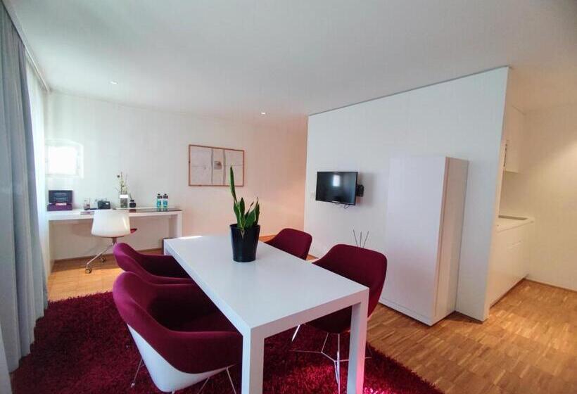 آپارتمان سوپریور 1 خوابه, Am Domplatz   Adult Only