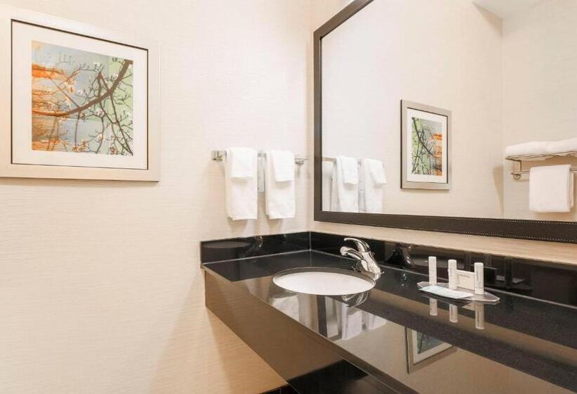 带大床的标准间, Fairfield Inn & Suites Tampa Fairgrounds/casino
