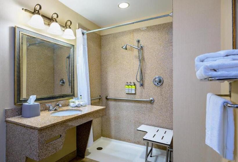 身障者適用キングサイズベッドルーム, Holiday Inn Express & Suites Bradenton East Lakewood Ranch, An Ihg