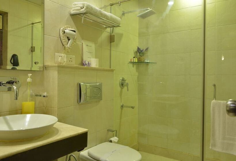 سوییت اجرایی, Rockland Hotel, C.r Park