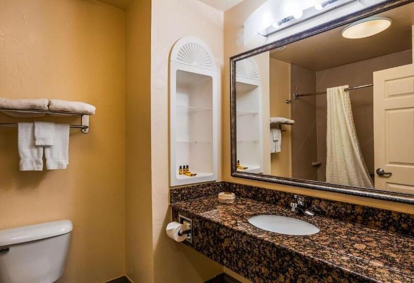 Стандартный Номер Кровать Кинг, Best Western Plus Barsana Hotel & Suites
