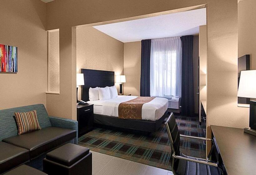 身障者適用スイートルーム, Comfort Suites Houston West At Clay Road