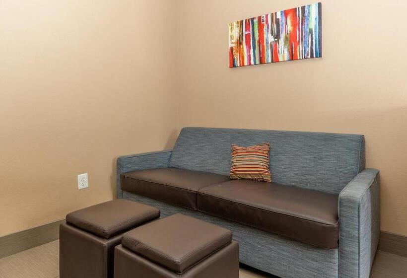 スイート, Comfort Suites Houston West At Clay Road