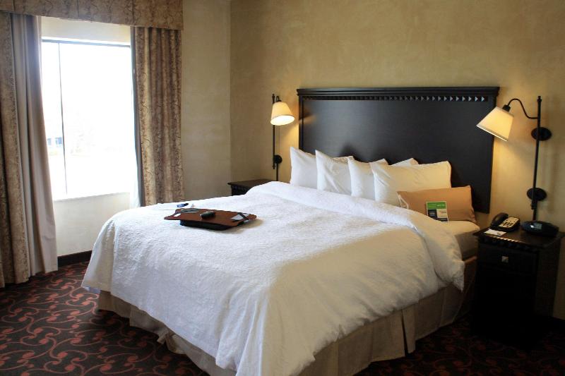 חדר סטנדרט עם מיטת קינג, Hampton Inn & Suites Dallas Arlington N Entertainment Dist