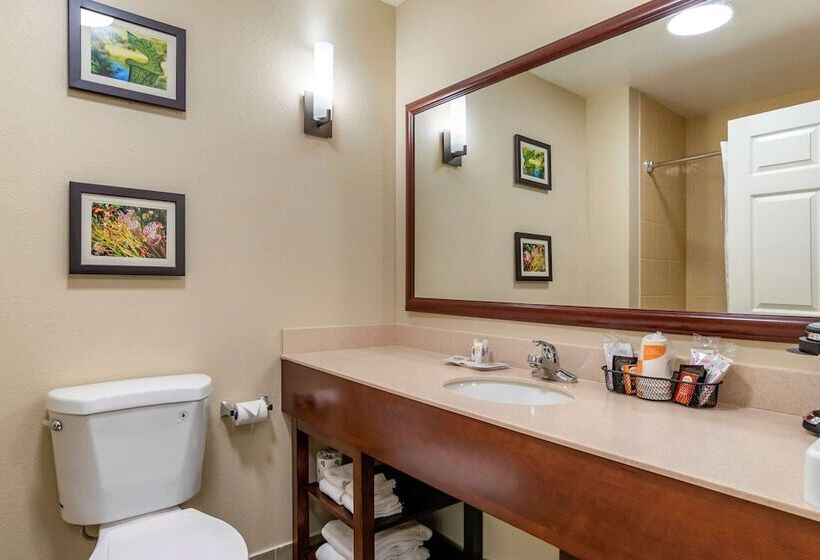 Люкс, Comfort Suites Niceville Near Eglin Air Force Base