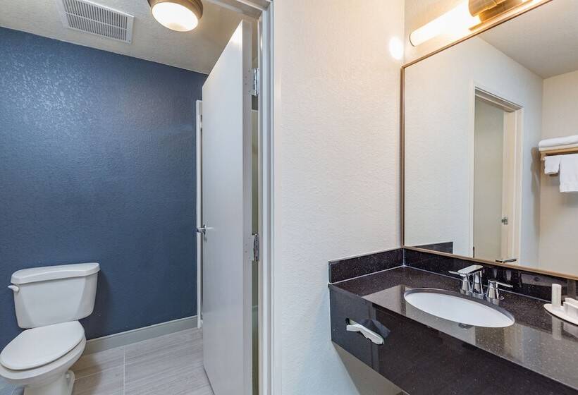 Номер Стандарт 2 Двуспальные Кровати, Fairfield Inn And Suites By Marriott Tampa North