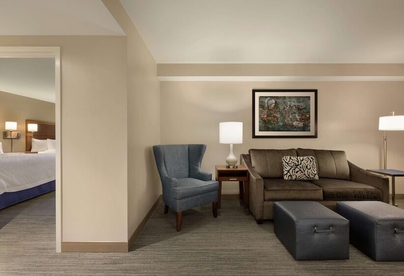 Standard Stúdió Szoba, Hampton Inn & Suites Nashville Downtown