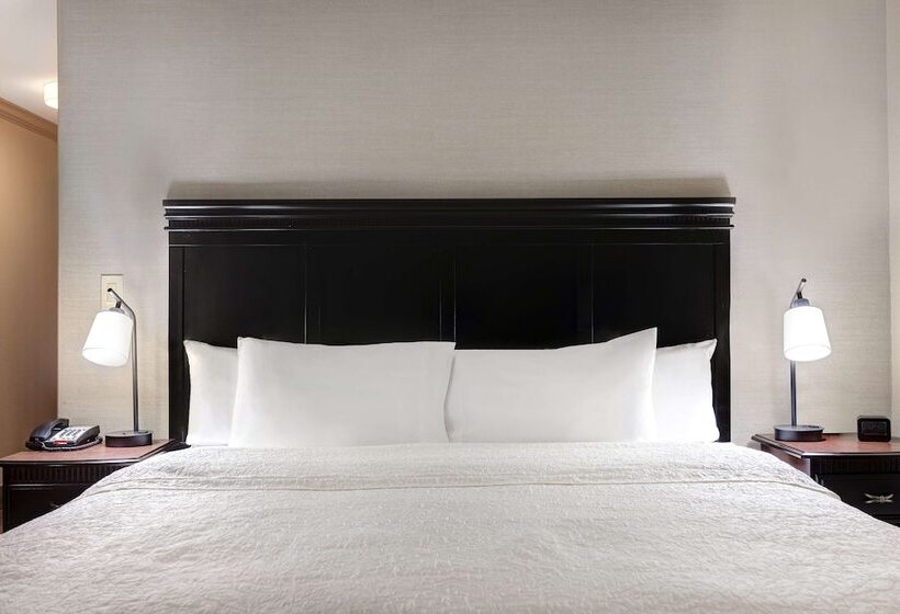 استودیوی استاندارد با تخت دوبل, Hampton Inn & Suites Galveston