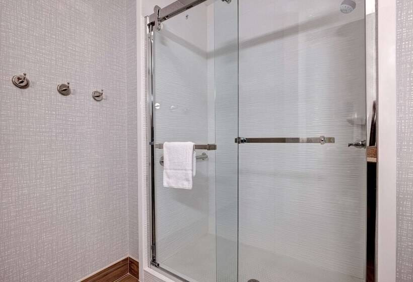 Номер Стандарт 2 Двуспальные Кровати, Hampton Inn & Suites Galveston