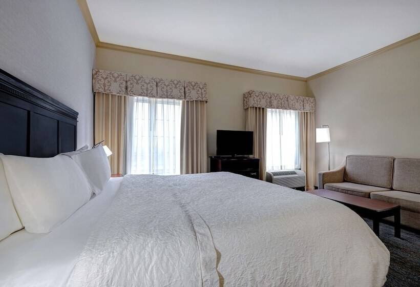 استودیوی استاندارد با تخت دوبل, Hampton Inn & Suites Galveston