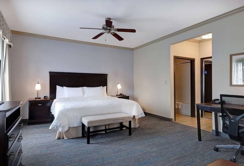 Студия Стандарт Двуспальная Кровать, Hampton Inn & Suites Galveston