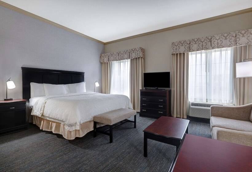 استودیوی استاندارد با تخت دوبل, Hampton Inn & Suites Galveston