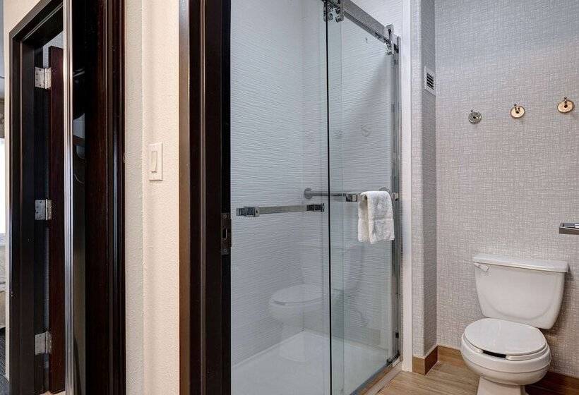 Студия Стандарт Двуспальная Кровать, Hampton Inn & Suites Galveston