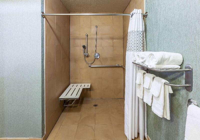 Студио Стандарт Кровать Кинг, Hampton Inn & Suites Lake Jacksonclute