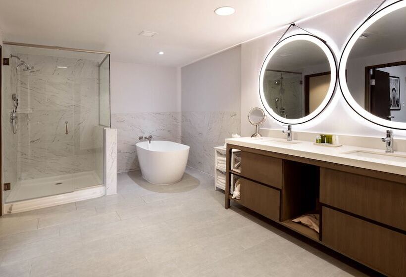 Люкс, Hilton Dallas/southlake Town Square