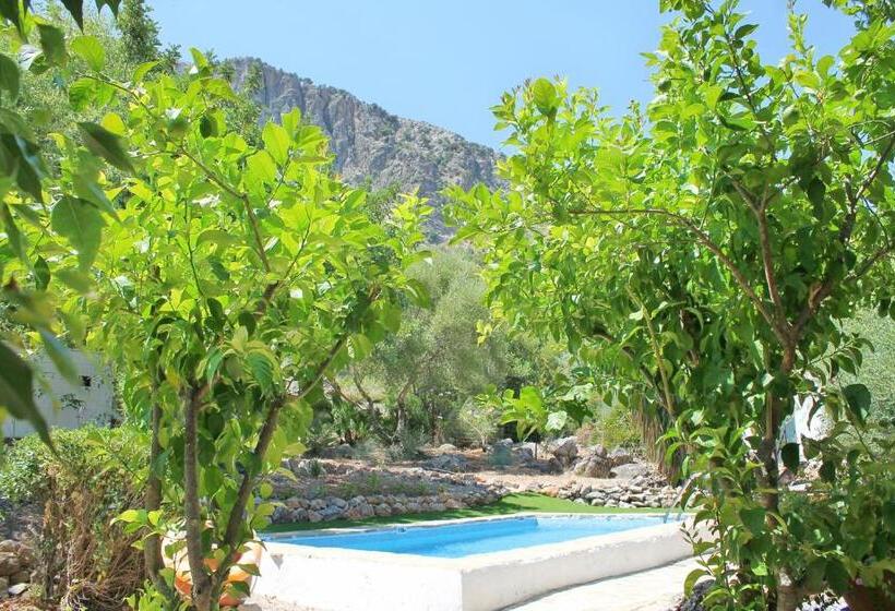 Дом 1 Спальня, Casas Rurales Los Algarrobales