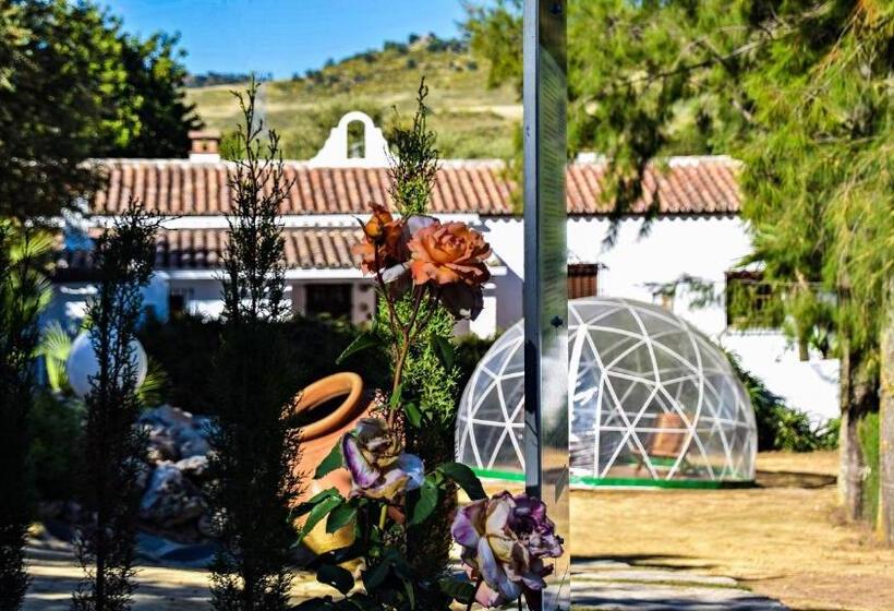 2间卧室的房子, Casas Rurales Los Algarrobales