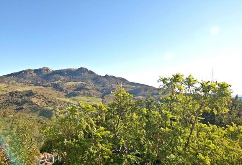 带5个卧室的别墅, Casas Rurales Los Algarrobales