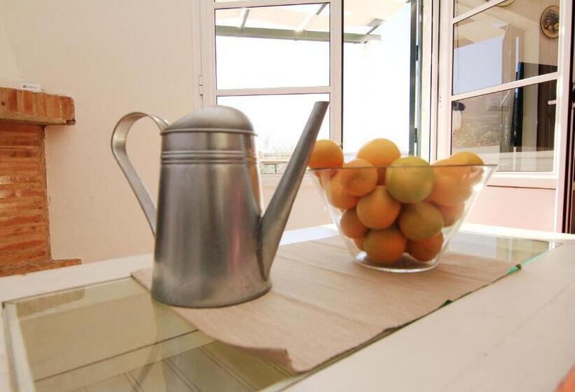Номер Стандарт, Casas Rurales Los Algarrobales