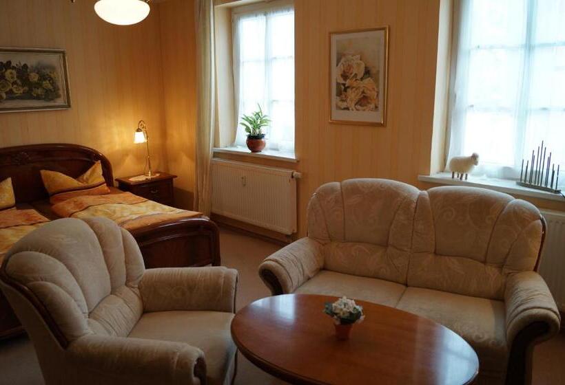Номер Стандарт, Pension Wegerich
