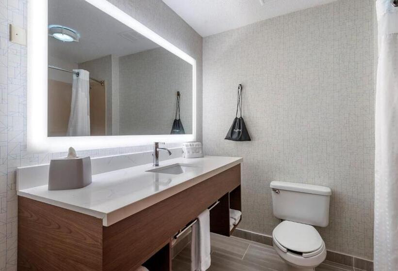 Стандартный Номер Кровать Кинг, Holiday Inn Express Charlotte West   Gastonia, An Ihg