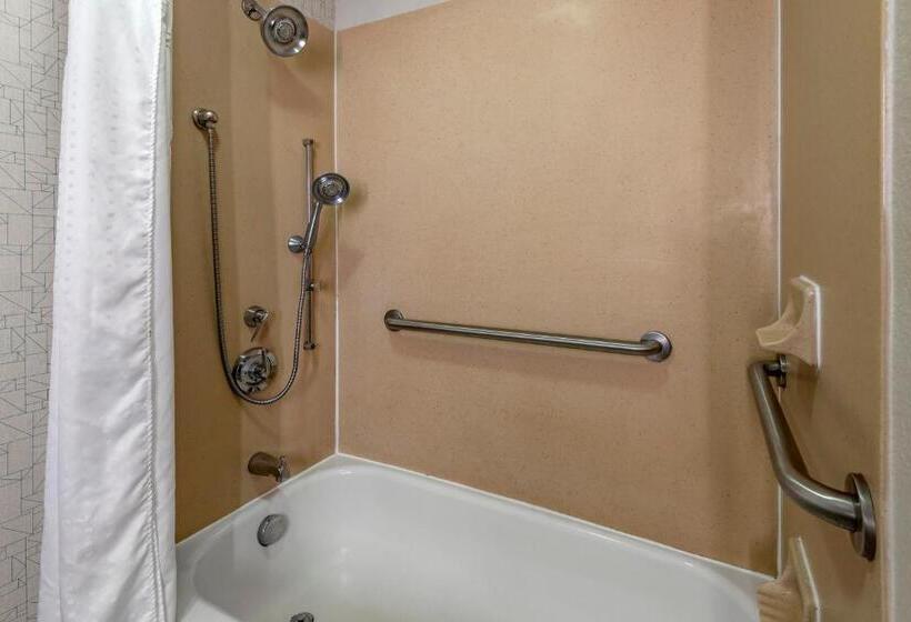 Номер Стандарт Адаптированный для Инвалидов, Holiday Inn Express Charlotte West   Gastonia, An Ihg