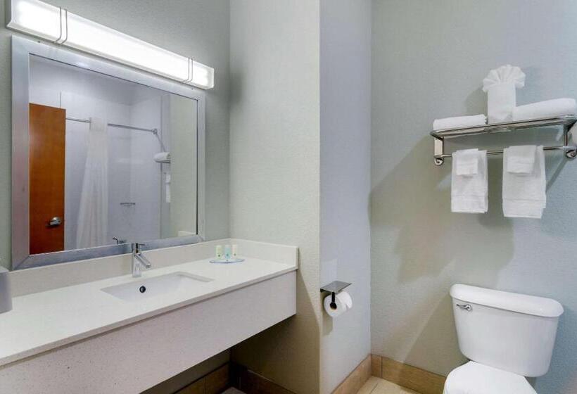 Номер Стандарт 2 Двуспальные Кровати, Quality Inn & Suites Decatur  Atlanta East