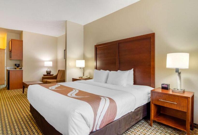 Люкс Кровать Кинг, Quality Inn & Suites Decatur  Atlanta East
