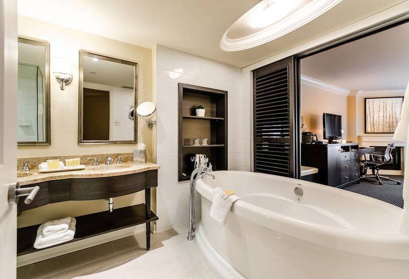 豪华房间, Le St Martin Hotel Centre Ville – Hotel Particulier