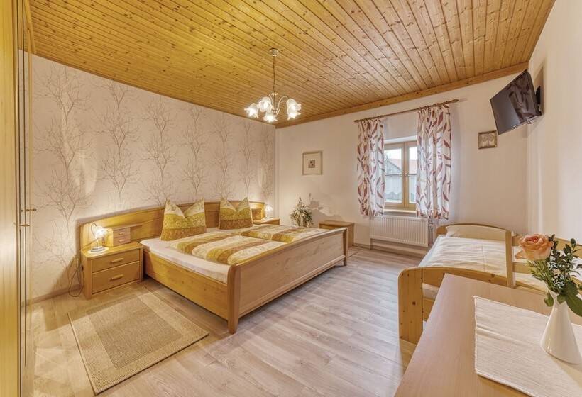 Номер Стандарт, Pension Zum Lebzelter