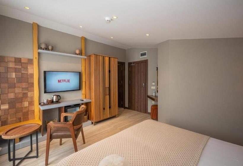 اتاق استاندارد با چشم‌انداز دریا, Villa Siesta Hotel Istanbul Airport