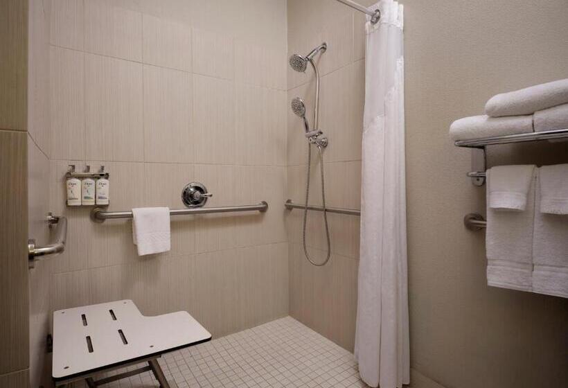 适合残疾人士使用的带超级大床的标准间, Holiday Inn Express Hotel And Suites Dfw Grapevine, An Ihg