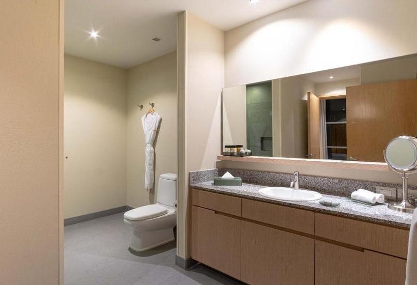 マスタースイートルーム, Stadia Suites Mexico City Santa Fe