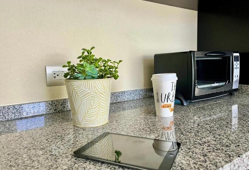 シティビューのデラックスルーム, Stadia Suites Mexico City Santa Fe