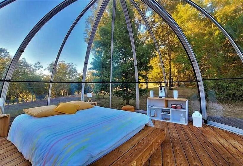 Номер Стандарт с Террасой, Maison D Hôtes Casa Sana