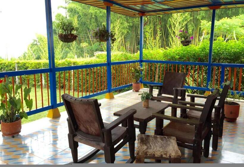 اتاق استاندارد, Bosques Del Saman Alcala