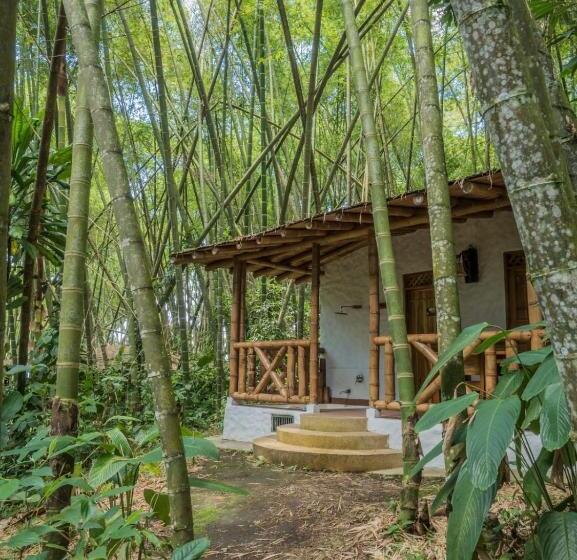 اتاق استاندارد با وان آب گرم, Bosques Del Saman Alcala