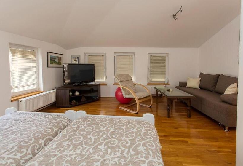 استودیوی استاندارد, Guesthouse Rota