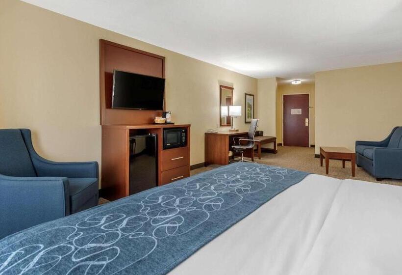 סוויטה מותאמת לאדם עם מוגבלויות, Comfort Suites Daytonwright Patterson