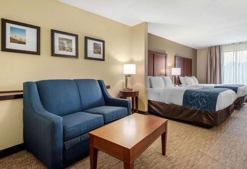 סוויטה מותאמת לאדם עם מוגבלויות, Comfort Suites Daytonwright Patterson