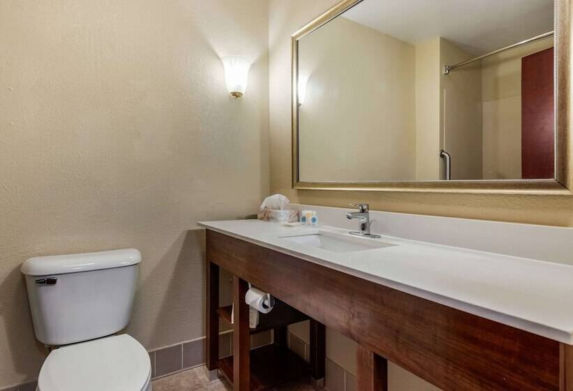 סוויטה מותאמת לאדם עם מוגבלויות, Comfort Suites Daytonwright Patterson