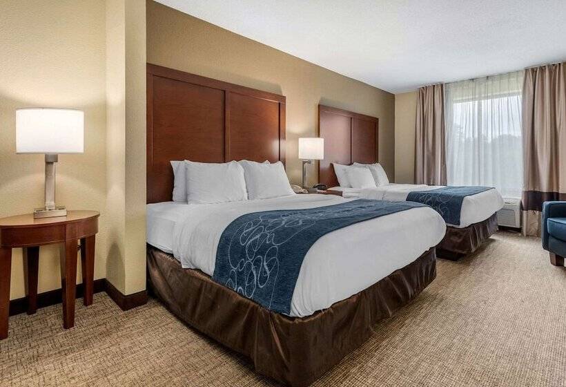 סוויטה מותאמת לאדם עם מוגבלויות, Comfort Suites Daytonwright Patterson