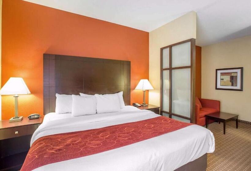 스위트 킹사이즈 침대, Comfort Suites Golden Isles Gateway