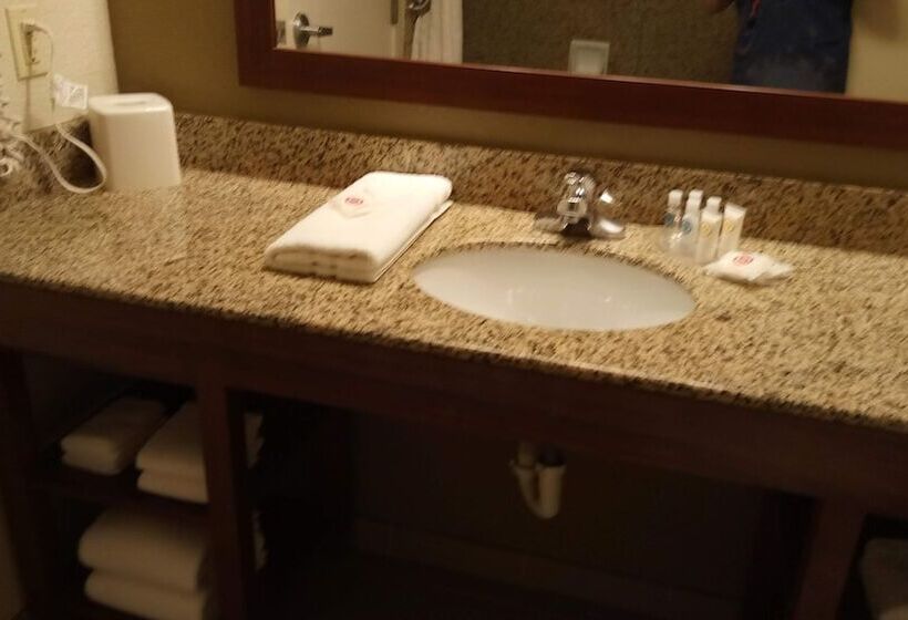 스위트, Comfort Suites Golden Isles Gateway