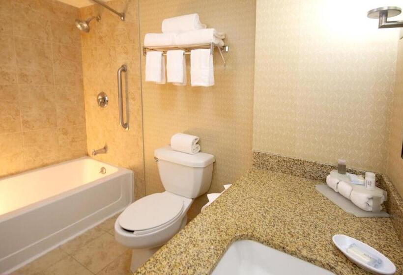 キングサイズベッドのスイートルーム, Holiday Inn Express Hotel & Suites Cd. Juarez   Las Misiones, An Ihg