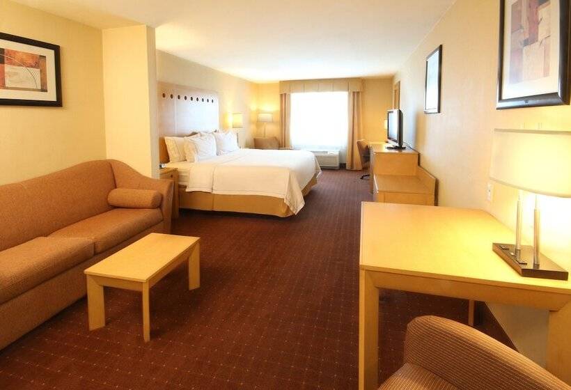 スイート, Holiday Inn Express Hotel & Suites Cd. Juarez   Las Misiones, An Ihg