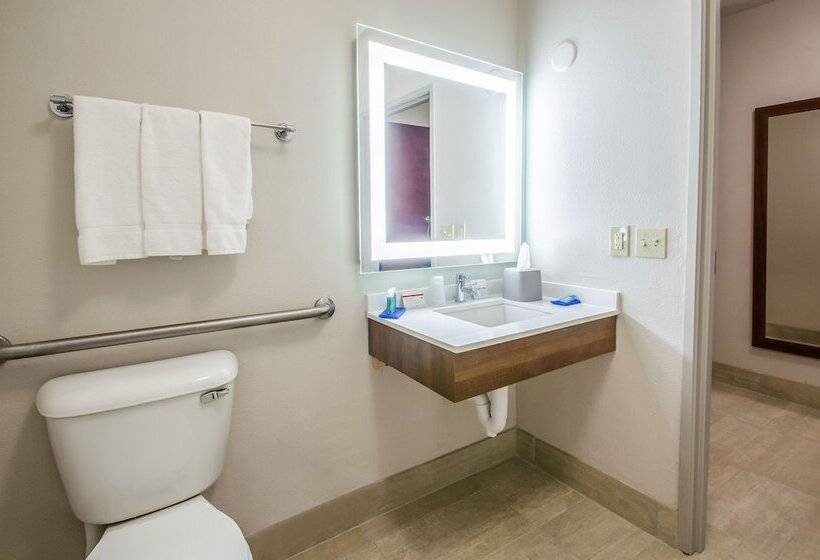 Люкс Адаптированный для Инвалидов, Holiday Inn Express & Suites   Olathe South, An Ihg