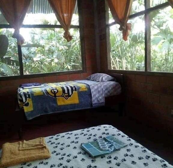 Номер Стандарт Трехместный, Misahualli Laguna Paikawe B&b